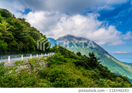 A view of fresh greenery from the Nita Pass Second Observation Point, Heisei Shinzan [Unzen City, Nagasaki Prefecture] 118348283