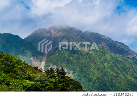 A view of fresh greenery from the Nita Pass Second Observation Point, Heisei Shinzan [Unzen City, Nagasaki Prefecture] 118348285