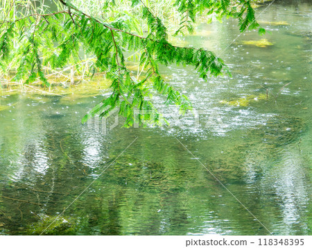 Summer waterside scenery: Shower 118348395