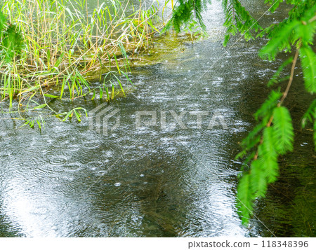 Summer waterside scenery: Shower 118348396
