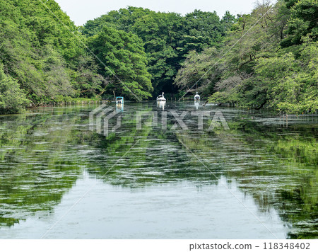 夏日水邊風景 夏日水邊風景 118348402