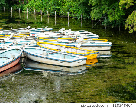 Summer waterside scenery: Rowboat 118348404