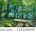 青苔茂盛的森林，在新鮮的綠色植物中熠熠生輝 118348495