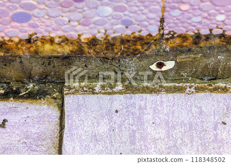 filthy dirty bathroom shower floor corner filthy dirty bathroom shower floor corner 118348502