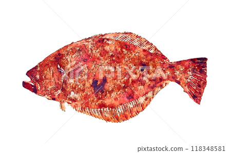 flounder 118348581