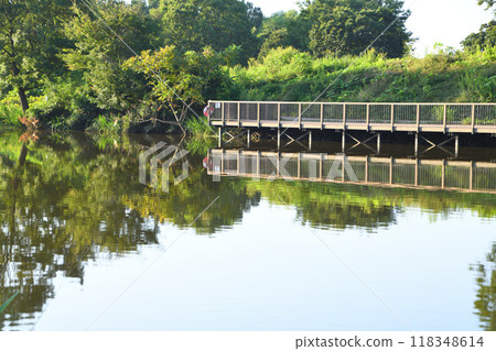 Binnuma River, River Deck, Midsummer Scenery Binnuma River, River Deck, Midsummer Scenery 118348614