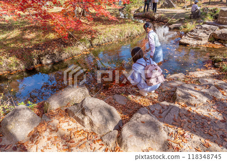 秋天,岐阜縣郡上市,父母和孩子在 Hirugano Plateau Divide Park 的水面上觀看水面 秋天,岐阜縣郡上市,父母和孩子在 Hirugano Plateau Divide Park 的水面上觀看水面 118348745