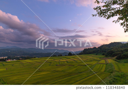 黃昏時分佐原平的水稻梯田 118348840