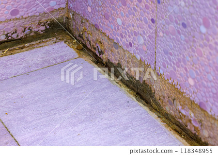 filthy dirty bathroom shower floor corner filthy dirty bathroom shower floor corner 118348955