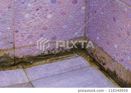 filthy dirty bathroom shower floor corner 118348956