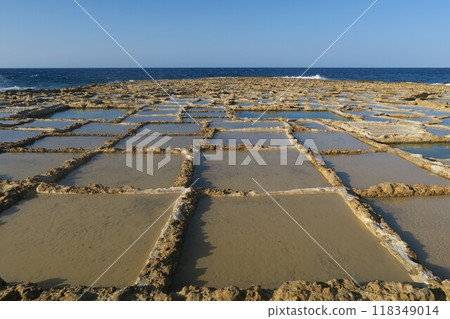 Salt pans on the coast of Gozo 118349014