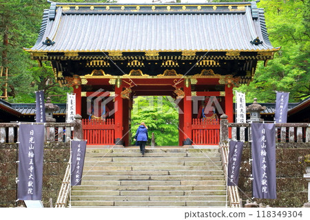 Nikko Iemitsu Mausoleum College  -  Niimon 118349304