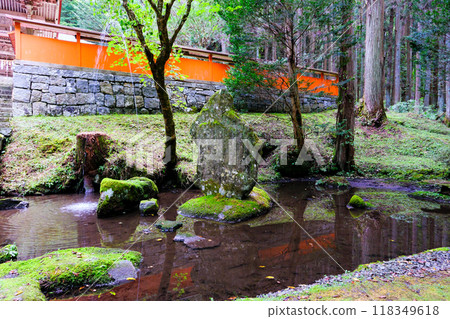 Shinsen Pond at Tanuchiyama Shrine Shinsen Pond at Tanuchiyama Shrine 118349618