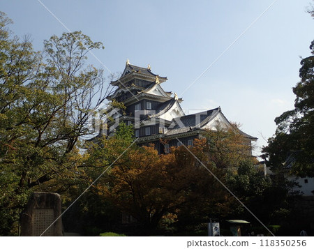 岡山城位於岡山縣岡山市北區，是一座三層六層樓的斜角五角形城堡，由豐臣秀吉的家臣浮田秀家建造。 118350256