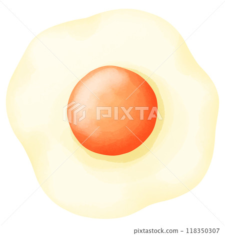 egg shell isolated on white background 118350307