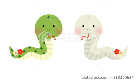 Pair of snakes Vector illustration 118350624