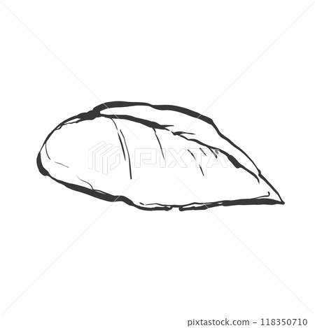 雞胸肉手寫畫筆繪畫風格插畫 雞胸肉手寫畫筆繪畫風格插畫 118350710