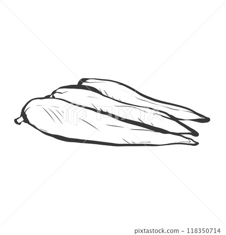 雞片手寫畫筆繪畫風格插畫 雞片手寫畫筆繪畫風格插畫 118350714