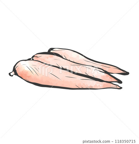 雞片手寫畫筆繪畫風格插畫 雞片手寫畫筆繪畫風格插畫 118350715