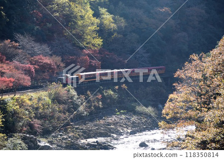 Kyoto: Sagano Scenic Train and Valley in Autumn Kyoto: Sagano Scenic Train and Valley in Autumn 118350814