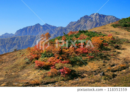 五龍山、鹿島矢鹿岳和鮮豔的紅葉 118351559