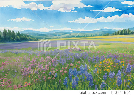 廣闊的薰衣草田和天空 118351605