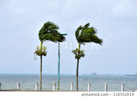Typhoon approach Typhoon approach 118352019