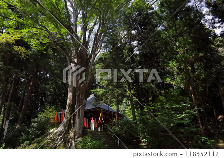 浪漫的茨城縣（紮根於大地，綠意盎然。大師堂守護著這個身影）白裡町德藏寺 118352112
