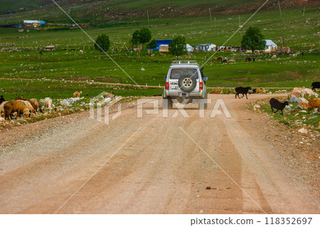 Offroad journey through rugged countryside with sheep and scenic landscapes Offroad journey through rugged countryside with sheep and scenic landscapes 118352697