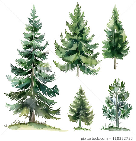 Pine trees set. Watercolor hand drawn illustration isolated on white background 118352753