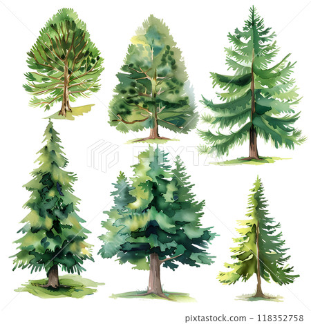 Pine trees set. Watercolor hand drawn illustration isolated on white background Pine trees set. Watercolor hand drawn illustration isolated on white background 118352758