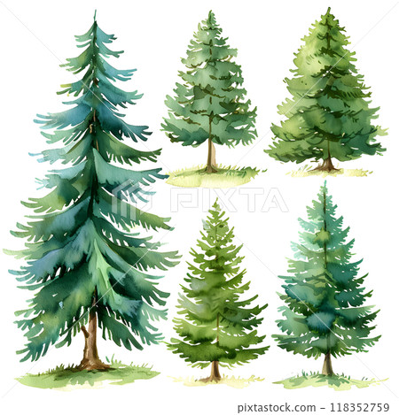 Pine trees set. Watercolor hand drawn illustration isolated on white background Pine trees set. Watercolor hand drawn illustration isolated on white background 118352759