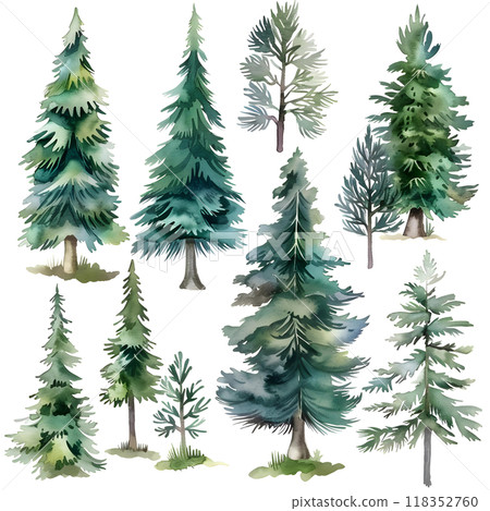 Pine trees set. Watercolor hand drawn illustration isolated on white background Pine trees set. Watercolor hand drawn illustration isolated on white background 118352760