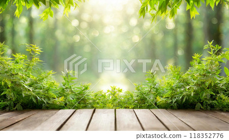 A bright green terrace. At the end of the terrace, a frame is made of green plants. 118352776