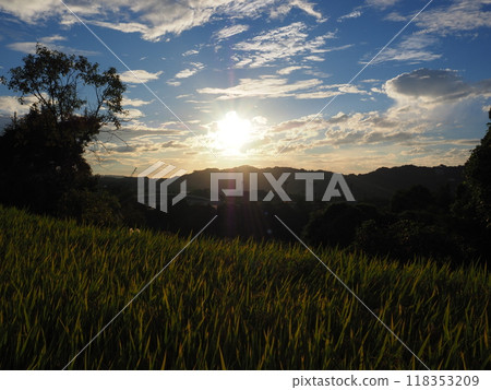 Fantastic sunset scenery 118353209