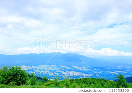 Flowers of Mount Nyukasa in July | Shinshu scenery | Shinshu alpine plants Flowers of Mount Nyukasa in July | Shinshu scenery | Shinshu alpine plants 118353300