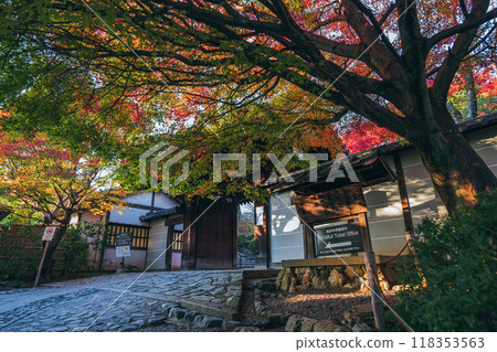 Autumn scenery at Ryoanji Temple in Kyoto 118353563