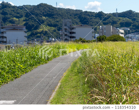 大和川河畔自行車道沿線風景 118354310