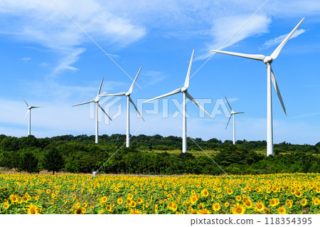 Sunflower fields and windmills, summer scenery, Nunobiki Plateau Sunflower fields and windmills, summer scenery, Nunobiki Plateau 118354395