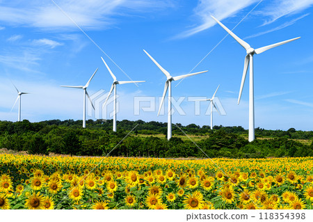 向日葵田與風車,夏日風景,布引高原 向日葵田與風車,夏日風景,布引高原 118354398