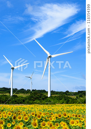Sunflower fields and windmills, summer scenery, Nunobiki Plateau 118354399