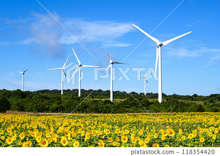 Sunflower fields and windmills, summer scenery, Nunobiki Plateau 118354420