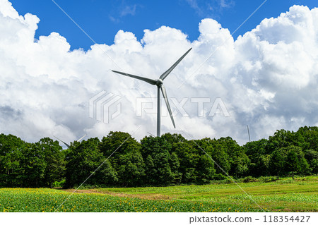 Windmills and cumulonimbus clouds, summer scenery, Nunobiki Plateau 118354427
