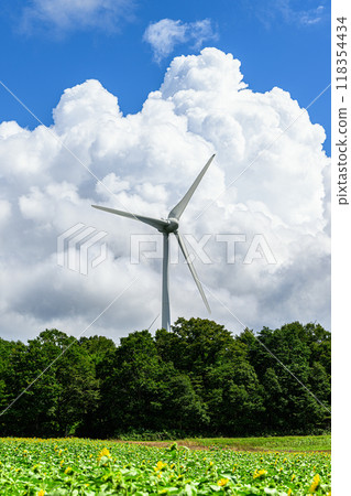Windmills and cumulonimbus clouds, summer scenery, Nunobiki Plateau 118354434