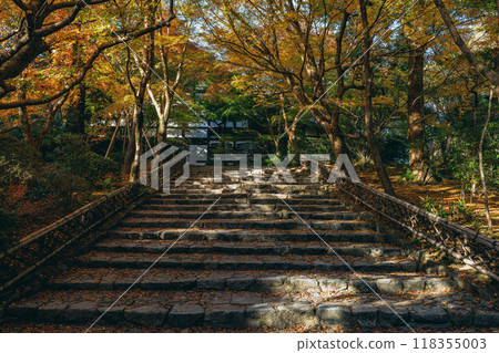 京都龍安寺秋景，黃葉石階 118355003