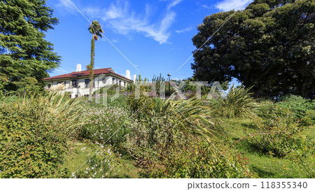 Hill park with a view of the harbor 118355340