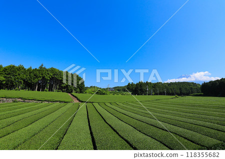 [靜岡縣]富士山和茶田的藍天風景 118355682