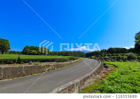 [靜岡縣]富士山和茶田的藍天風景 118355689