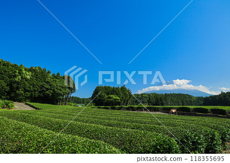 [靜岡縣]富士山和茶田的藍天風景 118355695
