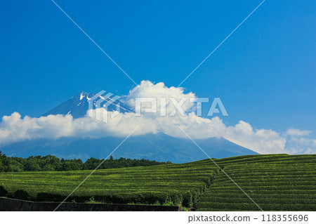 [靜岡縣]富士山和茶田的藍天風景 118355696